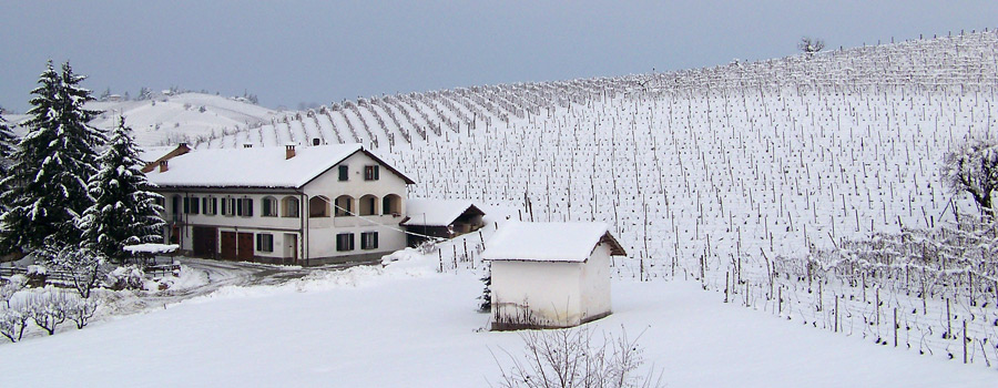 Neve e freddo, lunghi giorni vuoti, mentre il vigneto attende. 